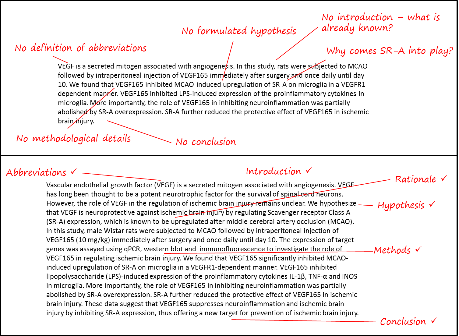 Journal Of Neurochemistry