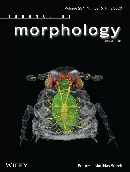 Read the latest issue of the Journal of Morphology!