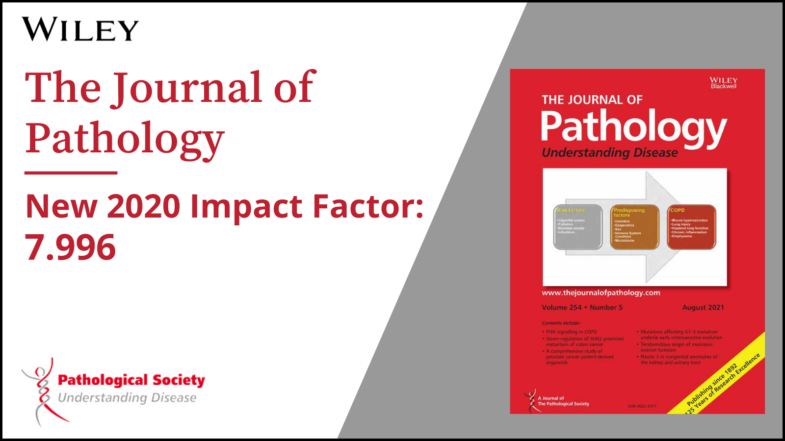 journal of pathology research reviews reports impact factor