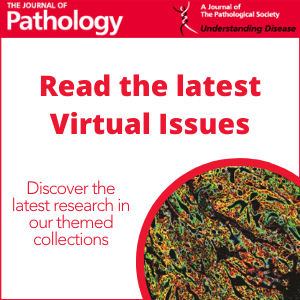 The Journal of Pathology - Wiley Online Library