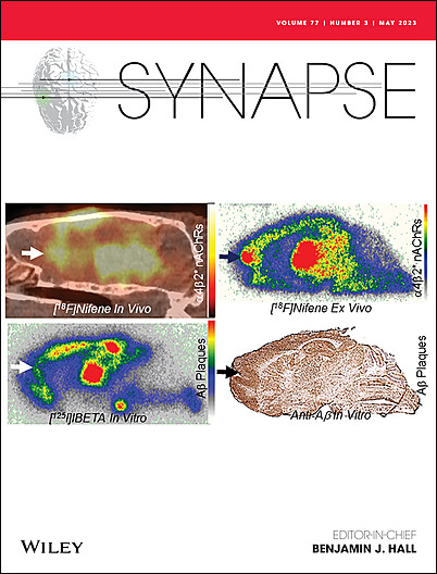 How To Get Synapse For Free 2020