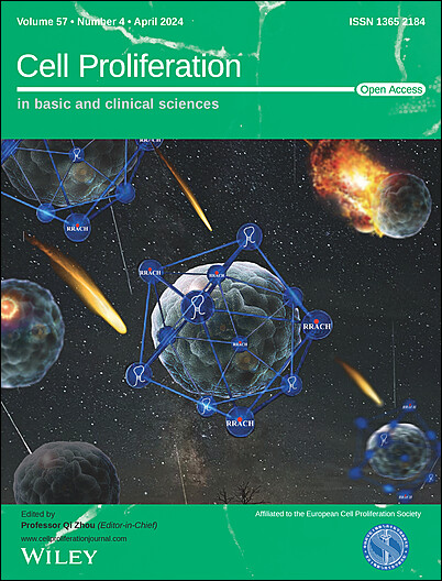 Cover Image, Volume 139, Issue 26