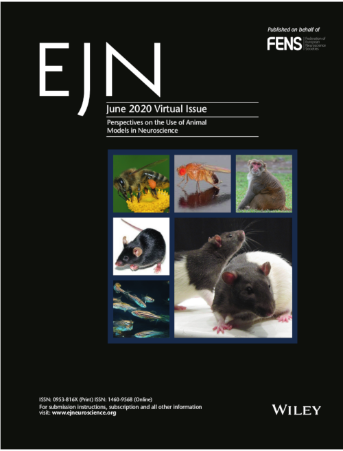 Perspectives on the Use of Animal Models in Neuroscience Research: European  Journal of Neuroscience