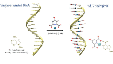 Angewandte Chemie International Edition