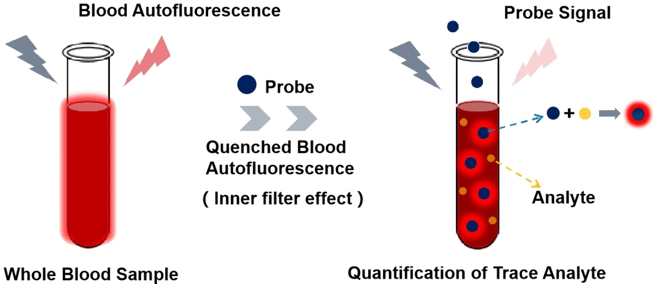 Trace Analysis of Blood Samples - Fluorescence probe and autofluorescence quencher in one