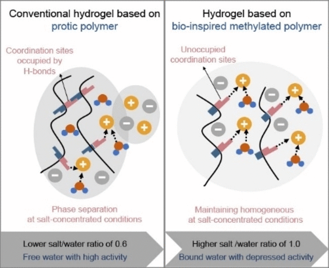Bio-Inspired Battery Design - Flexible Sodium-Ion Batteries Improved by Electrolyte Methylation