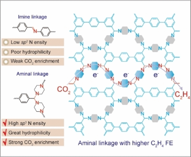 Building-Kit Catalyst - Metal-free organic framework for electrocatalytic production of ethylene from carbon dioxide