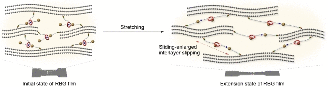 Strengthener for Graphene - Cross-linking graphene nanolayers with rotaxanes