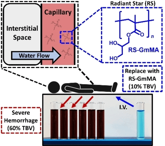 Lifesaving Star - Low volume resuscitant for prehospital treatment of severe hemorrhagic shock