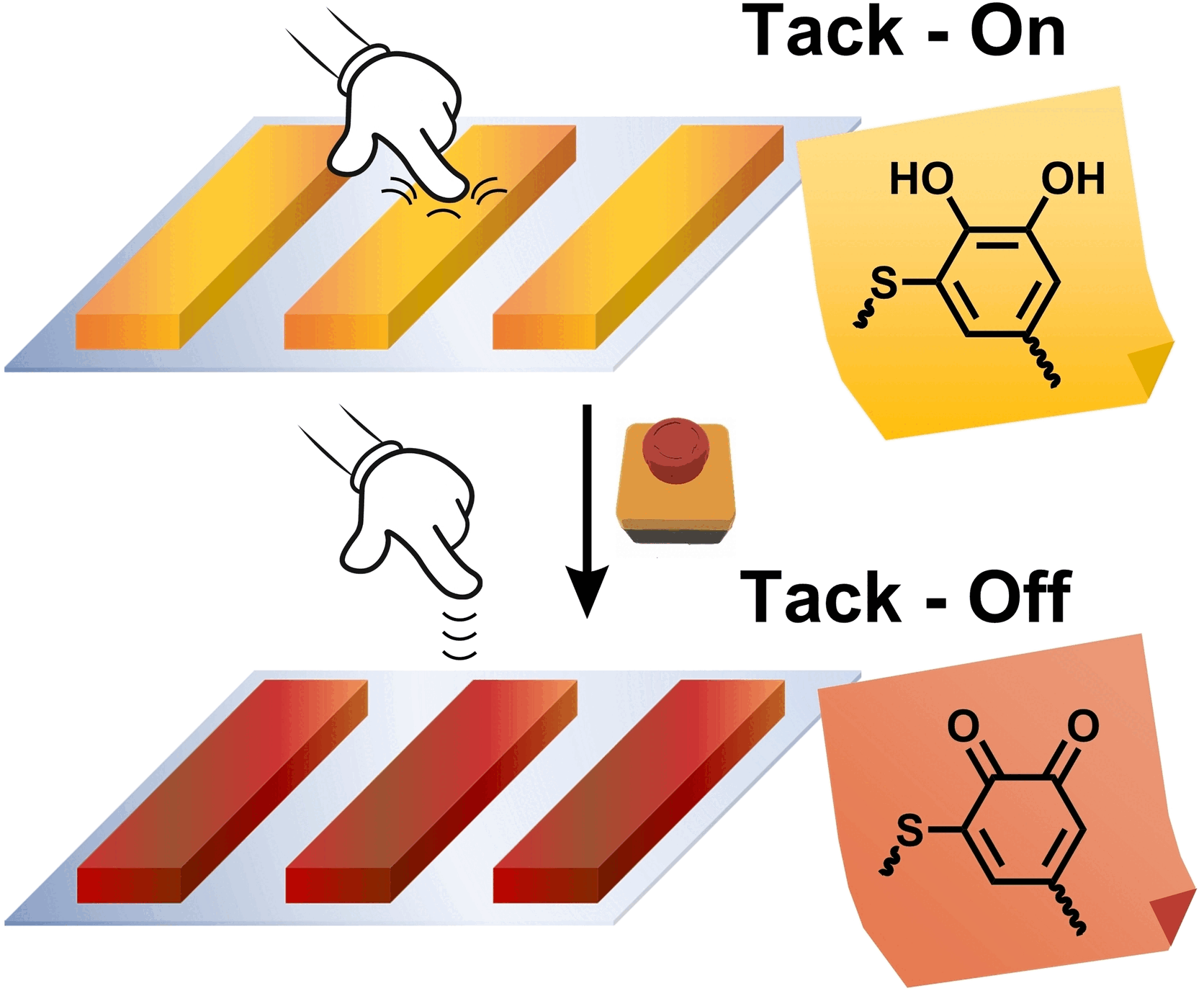 Adhesive Comes Unglued on Command - Oxidation triggers debonding of mussel-inspired adhesive