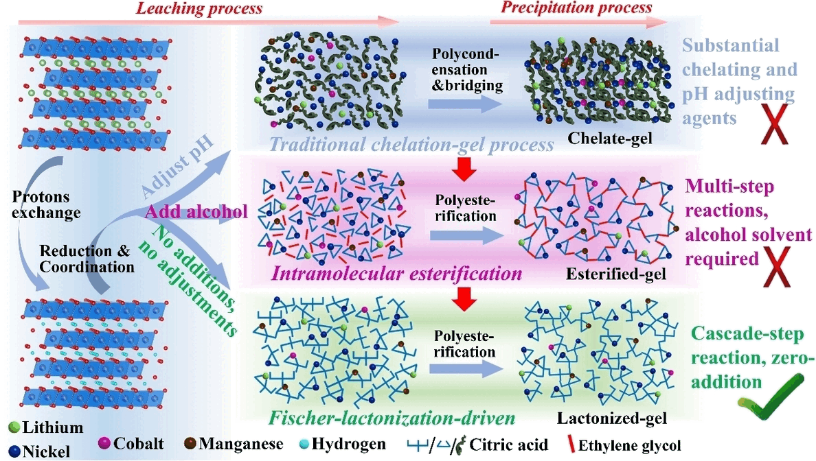 Recycling Batteries with Citric Acid - Highly efficient recycling process for NCM lithium-ion batteries