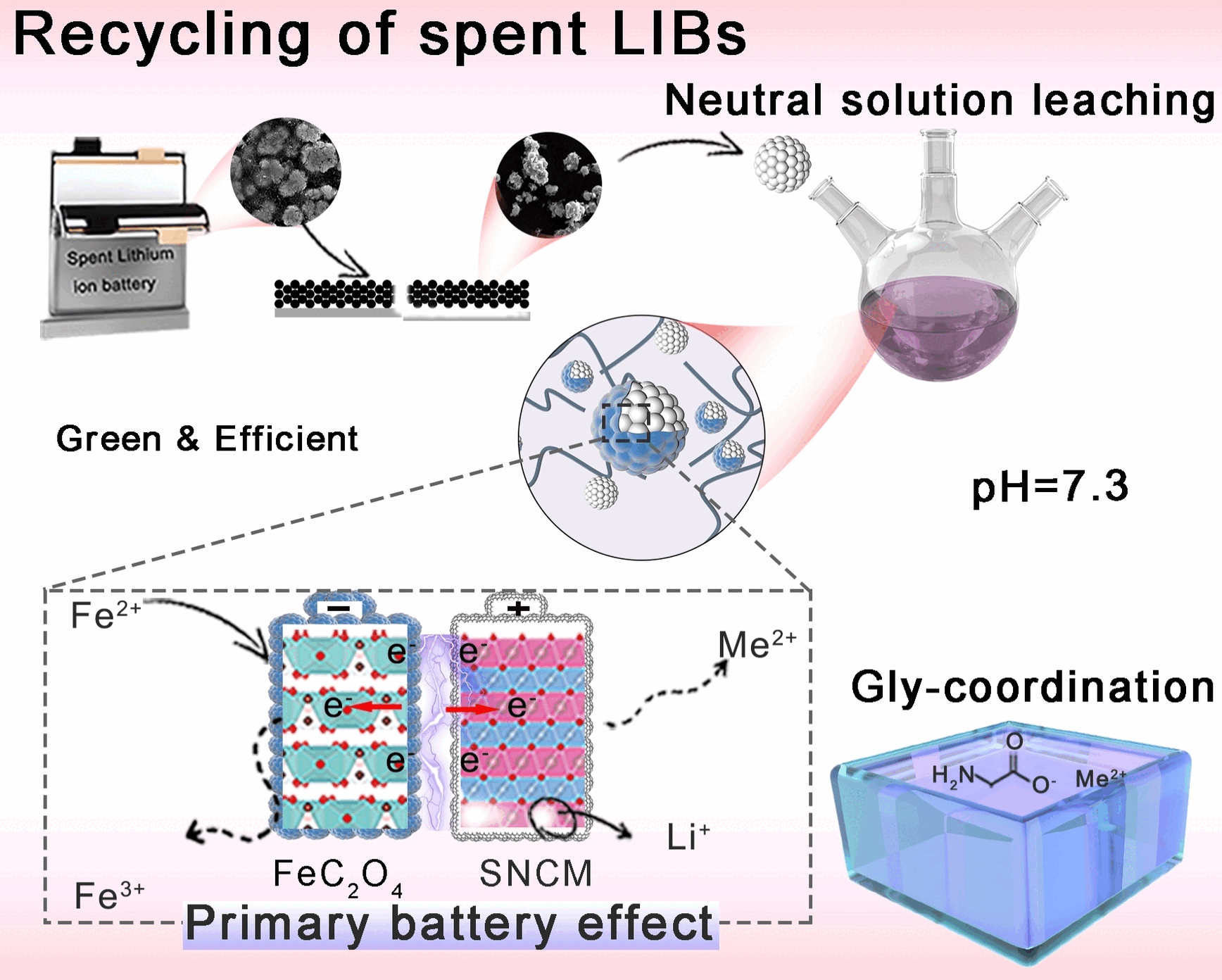 Amino Acid Assists in Recycling Rechargeable Batteries - Environmentally friendly and efficient: recycling lithium-ion batteries in neutral solution