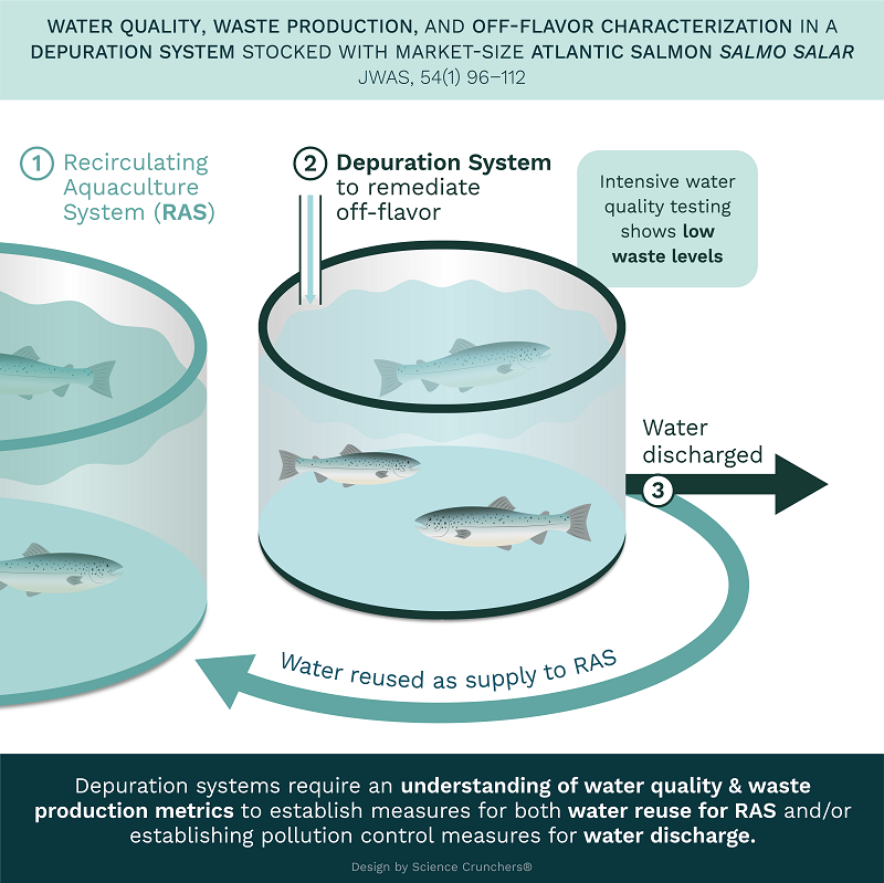 Semi-aquatic aquaculture: a review of crocodile farming