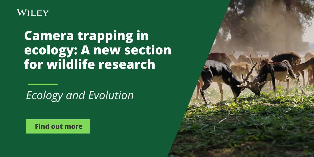 Camera trapping in ecology: A new section for wildlife research