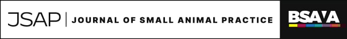 Langford small animal practice information